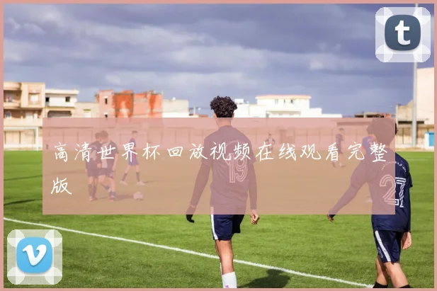 高清世界杯回放视频在线观看完整版
